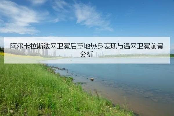 a-er-ka-la-si-fa-wang-wei-mian-hou-cao-di-re-shen-biao-xian-yu-wen-wang-wei-mian-qian-jing-fen-xi-2-733.jpg