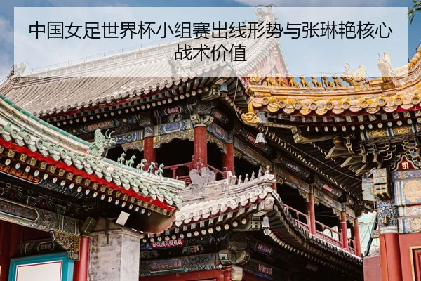 zhong-guo-nv-zu-shi-jie-bei-xiao-zu-sai-chu-xian-xing-shi-yu-zhang-lin-yan-he-xin-zhan-shu-jia-zhi-2-763.jpg