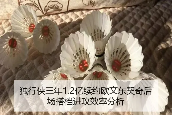 独行侠三年1.2亿续约欧文东契奇后场搭档进攻效率分析