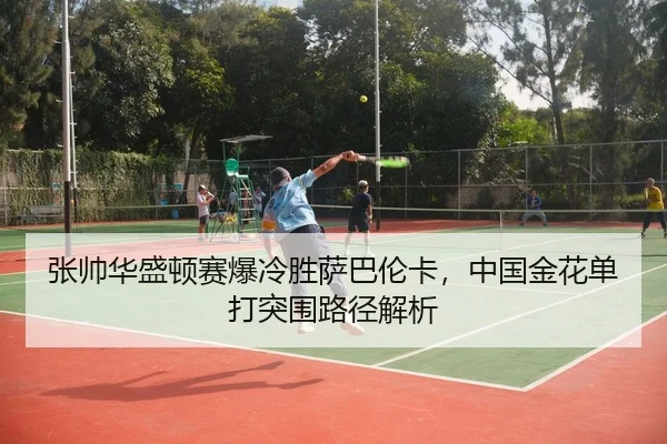 zhang-shuai-hua-sheng-dun-sai-bao-leng-sheng-sa-ba-lun-ka-zhong-guo-jin-hua-dan-da-tu-wei-lu-jing-jie-xi-3-779.jpg